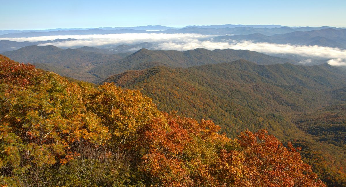 Beyond the Guidebook Hiking the Appalachian Trail in North Carolina